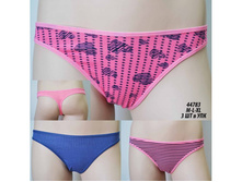 155�� �� �������� (3��)