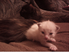 IMG 20151211 131233.jpg