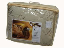 ������ ��������� ������ ���