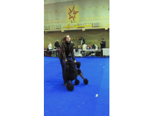 DSCN5907.JPG