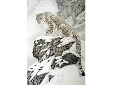 ������� ���� 48*70 ag502 - 1720 ���.