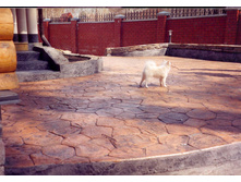 ������������ �������� �����