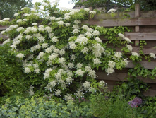 ��������� ����������3.jpg