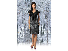 ������ �-95.jpg