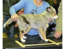 ���� �����