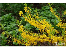 �������� ����������.jpg