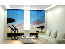 ������ � ������.jpg