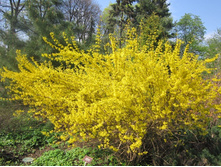 �������� ����������1.jpg