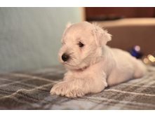 ��� �����1.JPG