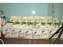 �������� ����