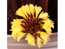 ������� ���������..... � ��� ��� � ��������� ������ !!!!!