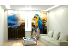 ���� � ���������.jpg