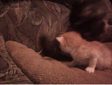 IMG 20151211 131302.jpg