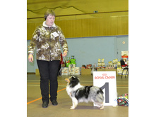 ���� �����