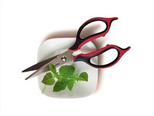 ������� "�����". ���� 1200 ���.+���.����. 1 ��.