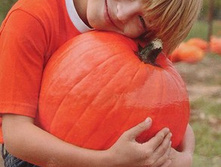 ����� ������� ����� ��� ��� 11,10 ���. [���.��000000759]