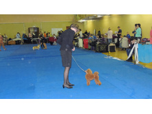 DSCN6138.JPG