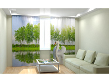 ������� ������.jpg