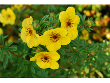 ���������� ��� «���� ����»1.jpg