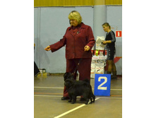 ������� ���