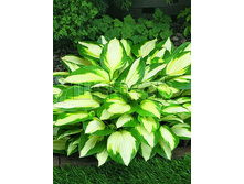 ����� ��������� ����� ���������.jpg