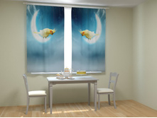 ������� �� ������.jpg