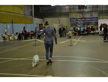 DSC 0724.JPG