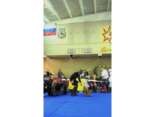DSCN6050.JPG