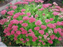 ������ ������.80�