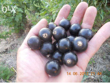 ��������� ������ «������������� �������»»1.jpg