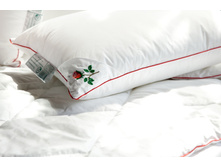 ������ ��������� ���� ������� ������ .jpg