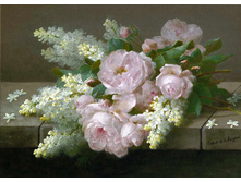 ����� ������ (���. 143) - 230 ���..jpg