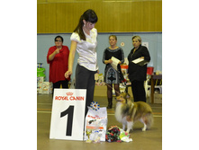 ���� �����