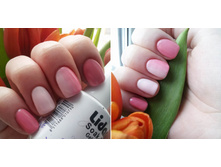 Lidan 067 � JessNail Antony A106