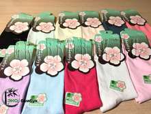 ����� �� ������� ���� ������� 12 ��� ������. ���� 380 ���