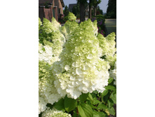 ���������*