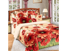 ������ 1 ����.jpg