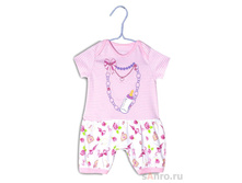 ���������� ������� ZBB-22015-BG0, �������