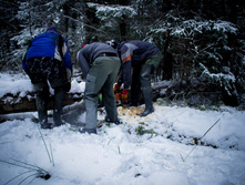 ������ ������� 2015-52.jpg