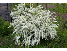 ������ ����� «��������».jpeg