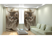 �������� �������.jpg