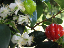 5669ab79cc6bf evgenijaodn3.jpg