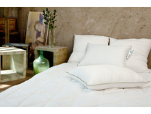 ������������ �����.jpg