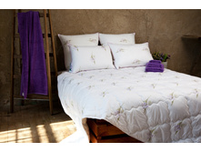 �������� ����.jpg