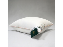 ������� ���������� ��������.jpg