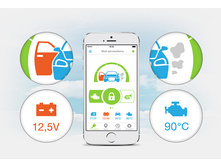 Starline ����������.jpg