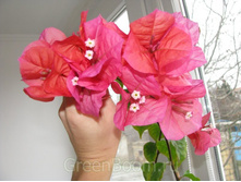 5669a0f280f5a 179655001403249645b.jpg