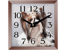 ���� � �����������