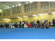 DSCN6210.JPG