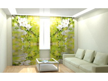 ������ ������.jpg